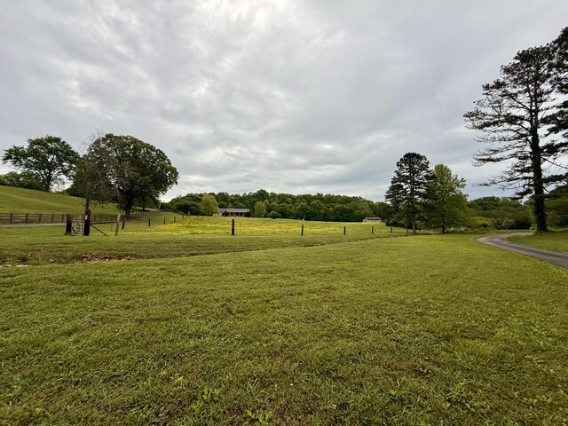 667 Chandler Rd, Chickamauga, GA 30707 - photo 76
