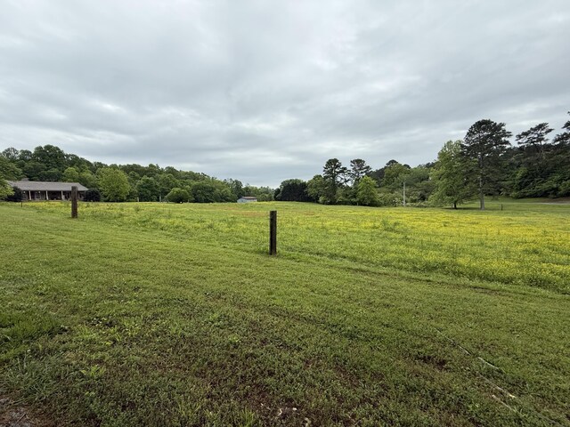 667 Chandler Rd, Chickamauga, GA 30707 - photo 77