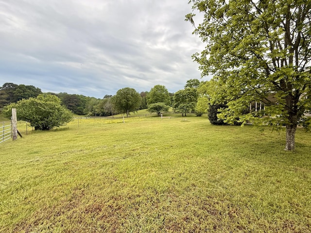 667 Chandler Rd, Chickamauga, GA 30707 - photo 53