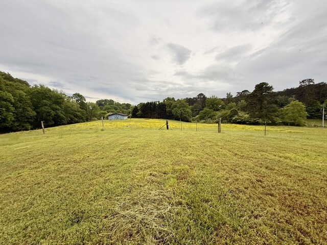 667 Chandler Rd, Chickamauga, GA 30707 - photo 52