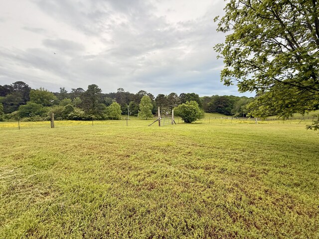 667 Chandler Rd, Chickamauga, GA 30707 - photo 51