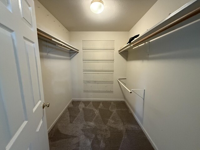 667 Chandler Rd, Chickamauga, GA 30707 - photo 28