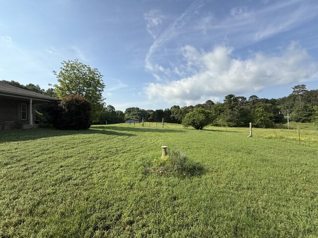 667 Chandler Rd, Chickamauga, GA 30707 - photo 70