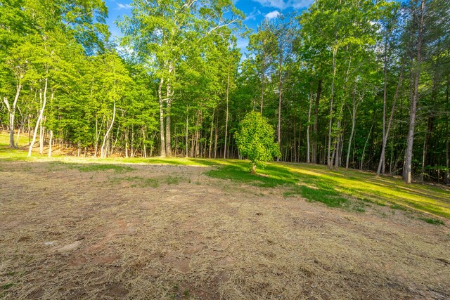 11570 Armstrong Rd, Soddy Daisy, TN 37379 - view of yard with a wooded view