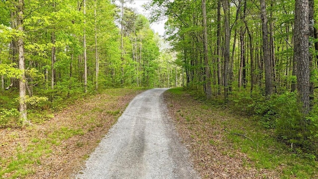 8981 Big Bend Road Tract E, Signal Mountain, TN 37377