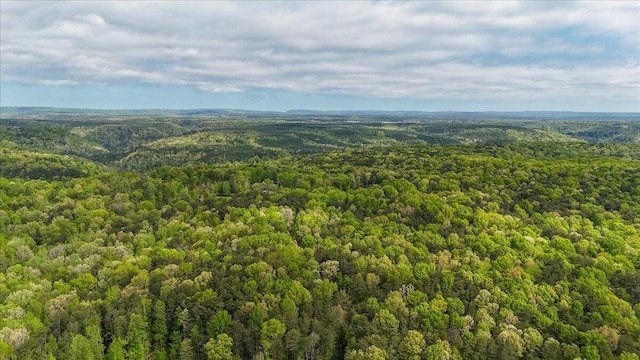 8981 Big Bend Road Tract E, Signal Mountain, TN 37377