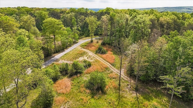 8981 Big Bend Road Tract E, Signal Mountain, TN 37377