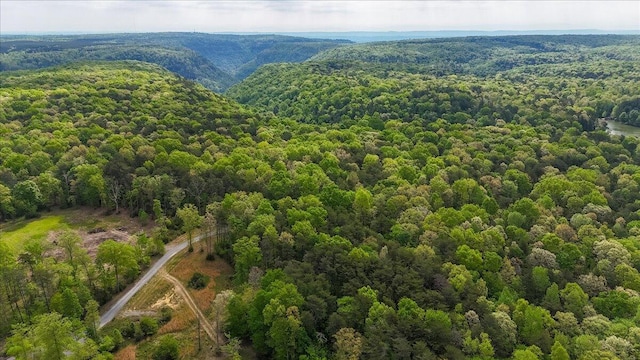 8981 Big Bend Road Tract E, Signal Mountain, TN 37377