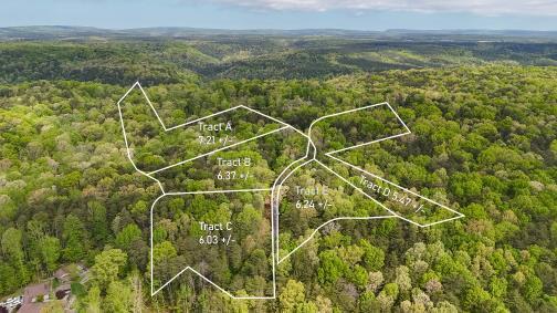 8981 Big Bend Road Tract E, Signal Mountain, TN 37377