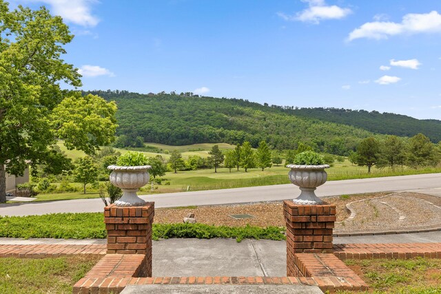 535 Castle Dr, Trenton, GA 30752 - photo 4