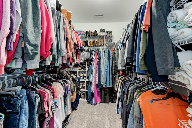 231 Winchester Dr, Rossville, GA 30741 - spacious closet with carpet flooring