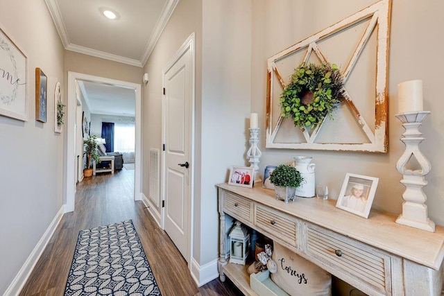 231 Winchester Dr, Rossville, GA 30741 - hallway with dark wood-style floors, ornamental molding, and baseboards