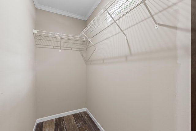 201 County Line Rd, Signal Mountain, TN 37377 - walk in closet with dark wood-type flooring
