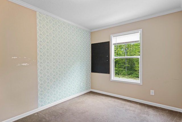 201 County Line Rd, Signal Mountain, TN 37377 - carpeted spare room featuring crown molding and baseboards