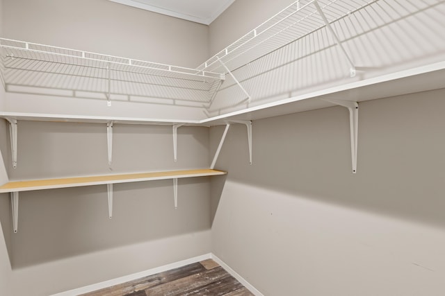 201 County Line Rd, Signal Mountain, TN 37377 - walk in closet with dark wood finished floors