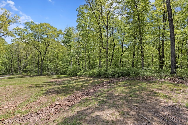 201 County Line Rd, Signal Mountain, TN 37377 - view of yard with a view of trees