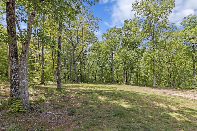 201 County Line Rd, Signal Mountain, TN 37377 - view of wooded area