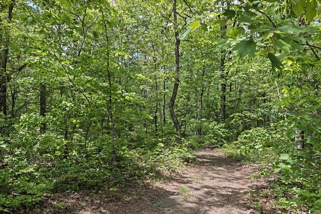 201 County Line Rd, Signal Mountain, TN 37377 - view of wooded area