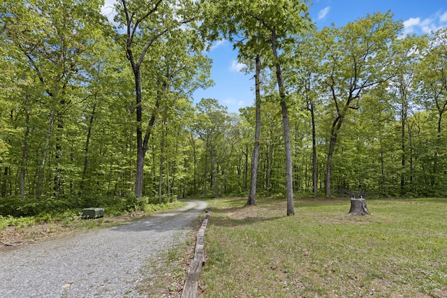 201 County Line Rd, Signal Mountain, TN 37377 - view of road featuring a view of trees