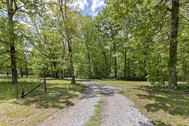 201 County Line Rd, Signal Mountain, TN 37377 - view of dirt / gravel road with a wooded view