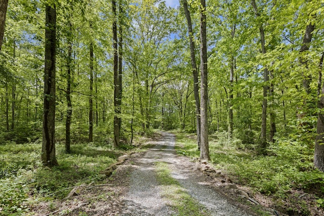 201 County Line Rd, Signal Mountain, TN 37377 - view of dirt / gravel road with a wooded view