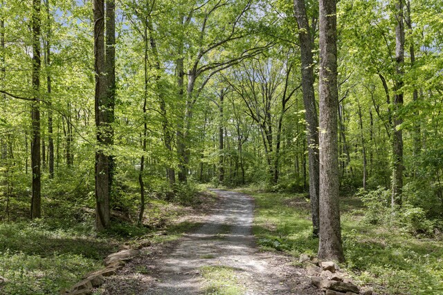 201 County Line Rd, Signal Mountain, TN 37377 - view of dirt / gravel road featuring a forest view