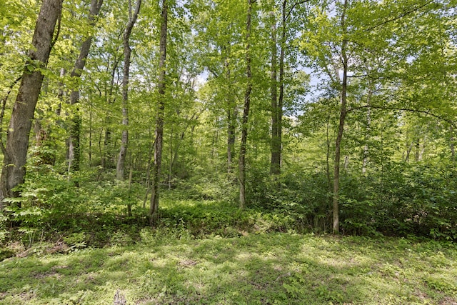 201 County Line Rd, Signal Mountain, TN 37377 - view of woods