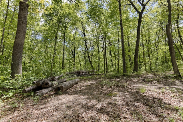 201 County Line Rd, Signal Mountain, TN 37377 - view of wooded area