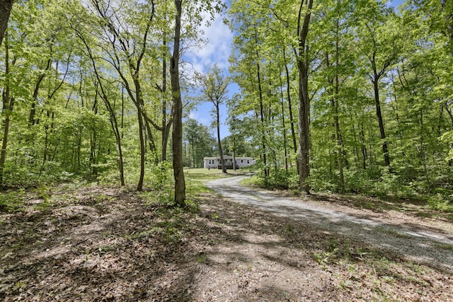 201 County Line Rd, Signal Mountain, TN 37377 - view of dirt / gravel road