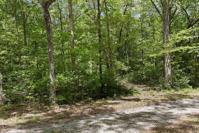 201 County Line Rd, Signal Mountain, TN 37377 - view of wooded area