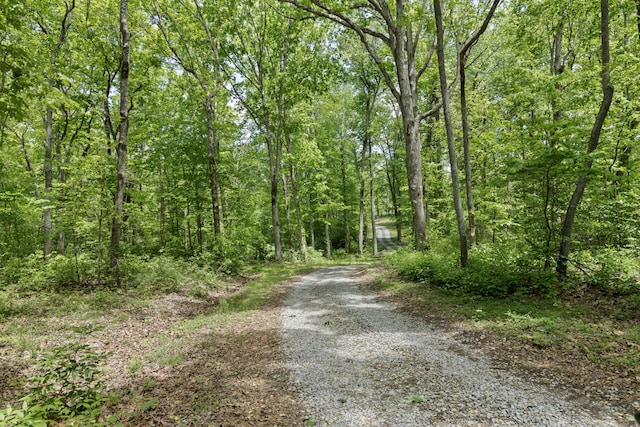 201 County Line Rd, Signal Mountain, TN 37377 - view of street with a view of trees