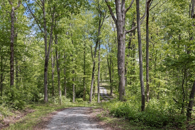 201 County Line Rd, Signal Mountain, TN 37377 - view of street featuring a view of trees