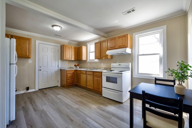 kitchen featuring white appliances, under cabinet range hood, light wood-style flooring, light countertops, and healthy amount of natural light