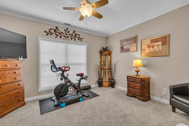 2123 Sargent Quick Dr, Chattanooga, TN 37421 - workout area with ceiling fan, ornamental molding, plenty of natural light, and carpet floors