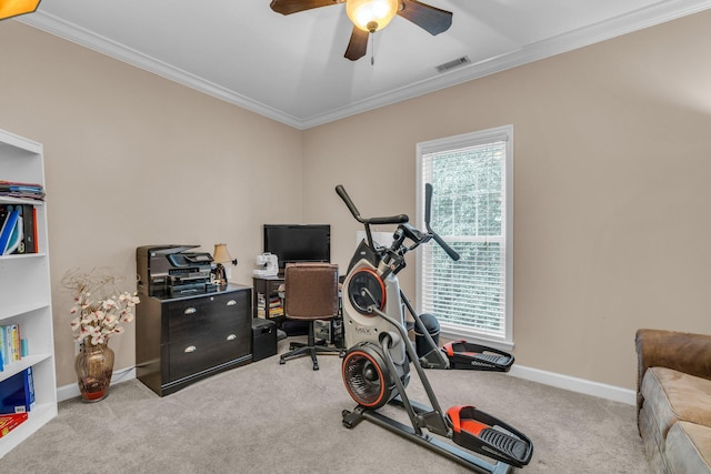 2123 Sargent Quick Dr, Chattanooga, TN 37421 - workout room with crown molding, ceiling fan, and carpet flooring