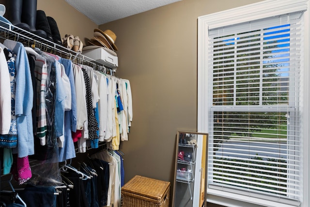8802 Mckenzie Farm Dr, Ooltewah, TN 37363 - view of walk in closet