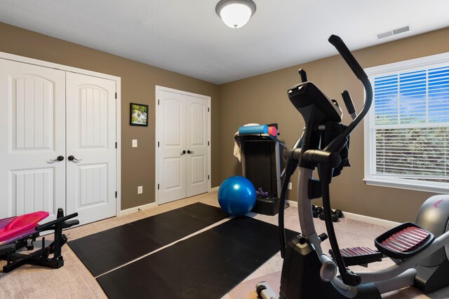 8802 Mckenzie Farm Dr, Ooltewah, TN 37363 - workout area featuring baseboards and carpet flooring