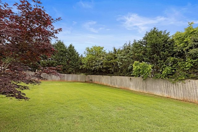 8802 Mckenzie Farm Dr, Ooltewah, TN 37363 - view of yard