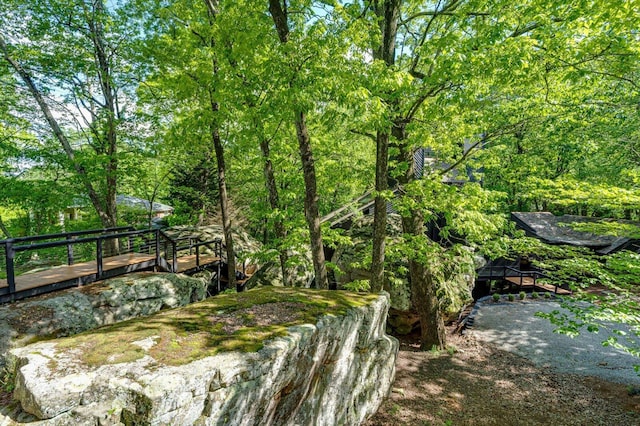 view of undeveloped land