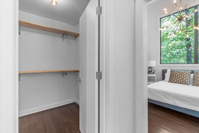 spacious closet featuring wood finished floors and a chandelier