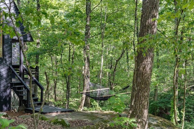 view of woods