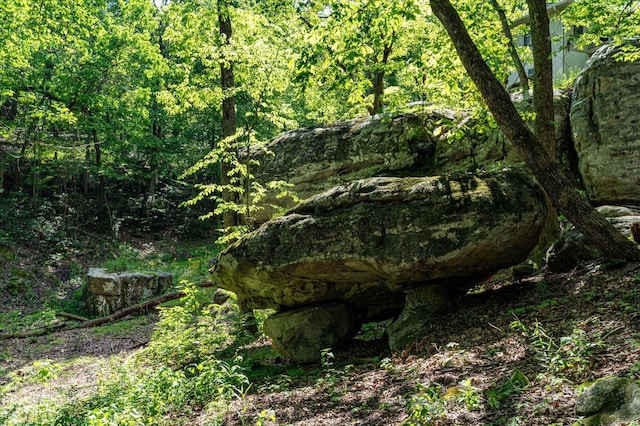 view of woods
