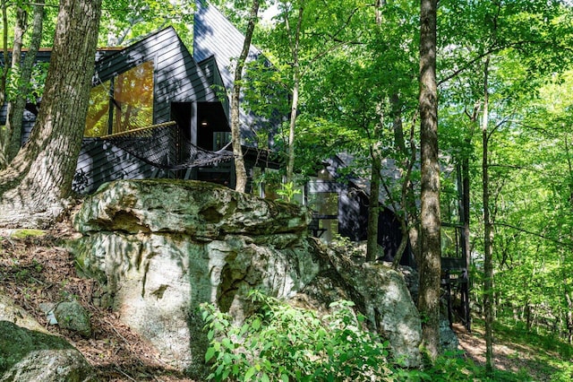 view of local wilderness