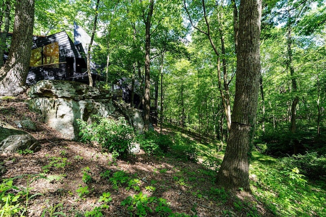 view of wooded area