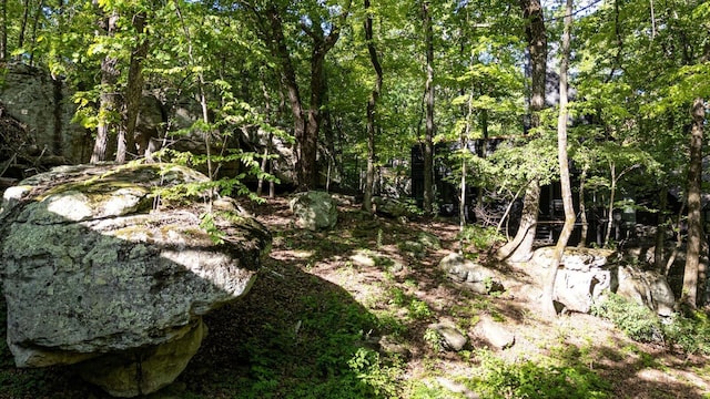 view of undeveloped land