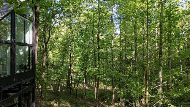 view of woods
