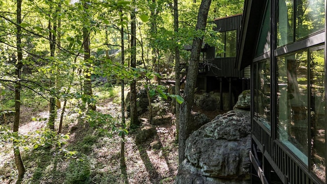 view of tree filled area
