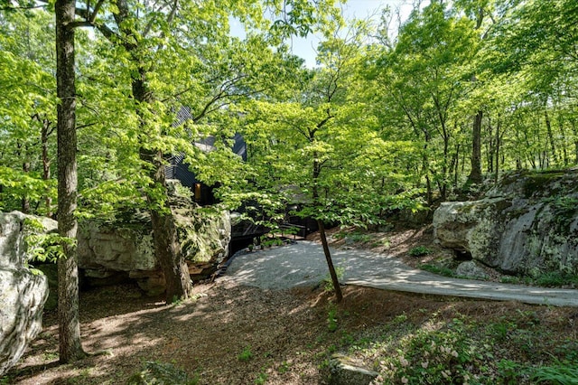 view of local wilderness