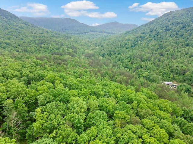 0 Egypt Hollow Rd, Trenton, GA 30752 - photo 2
