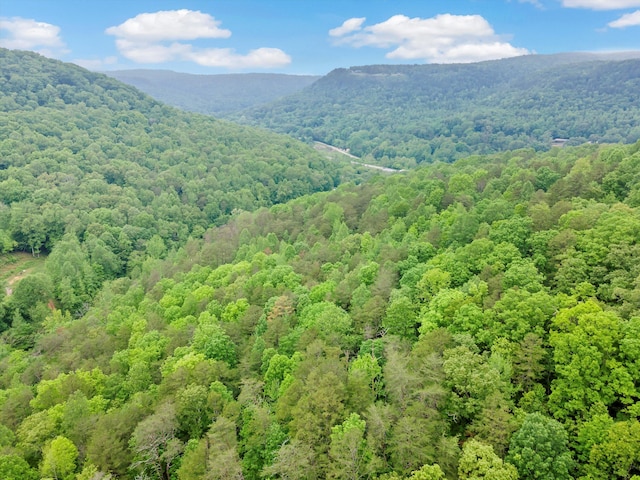 0 Egypt Hollow Rd, Trenton, GA 30752 - photo 13